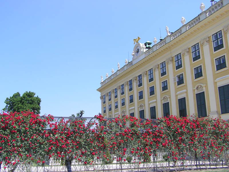 p5280007.jpg