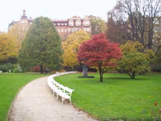 P1010115.jpg