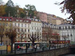 P1010119.jpg
