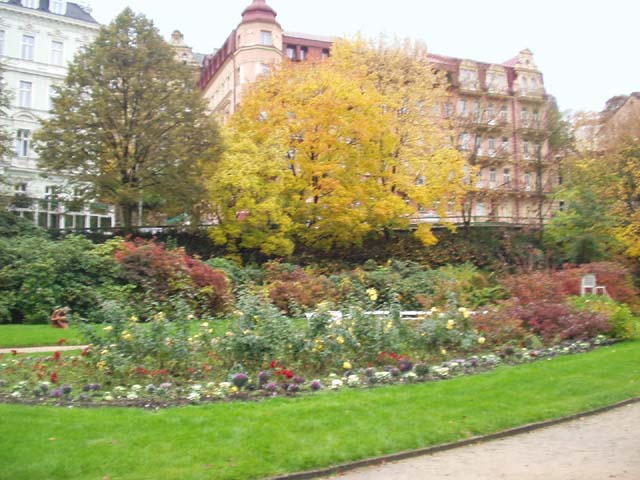 P1010117.jpg