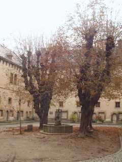 P1010152.jpg