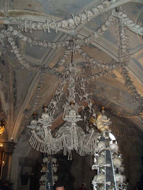 P1010142.jpg