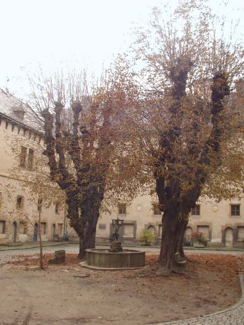 P1010152.jpg