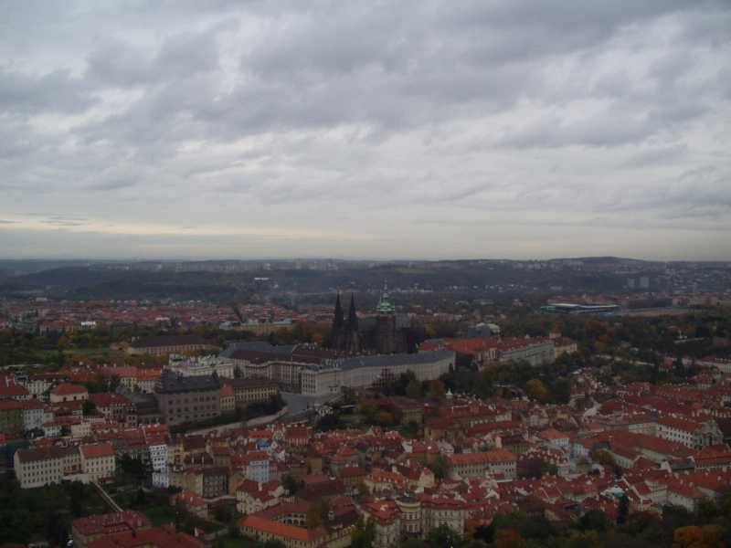P1010002.JPG