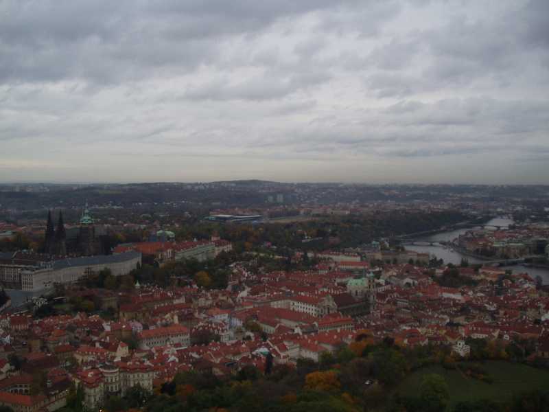 P1010003.JPG