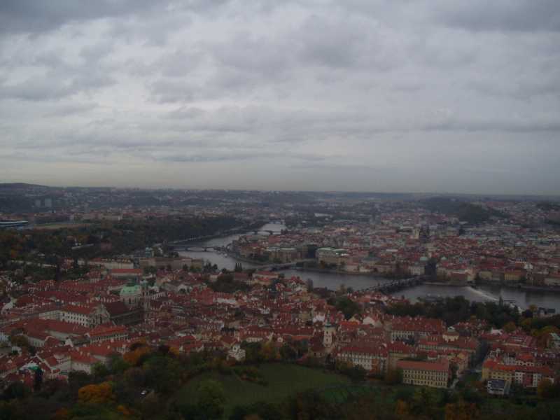 P1010004.JPG