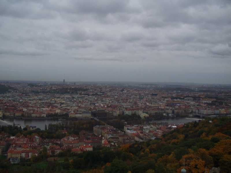 P1010006.JPG