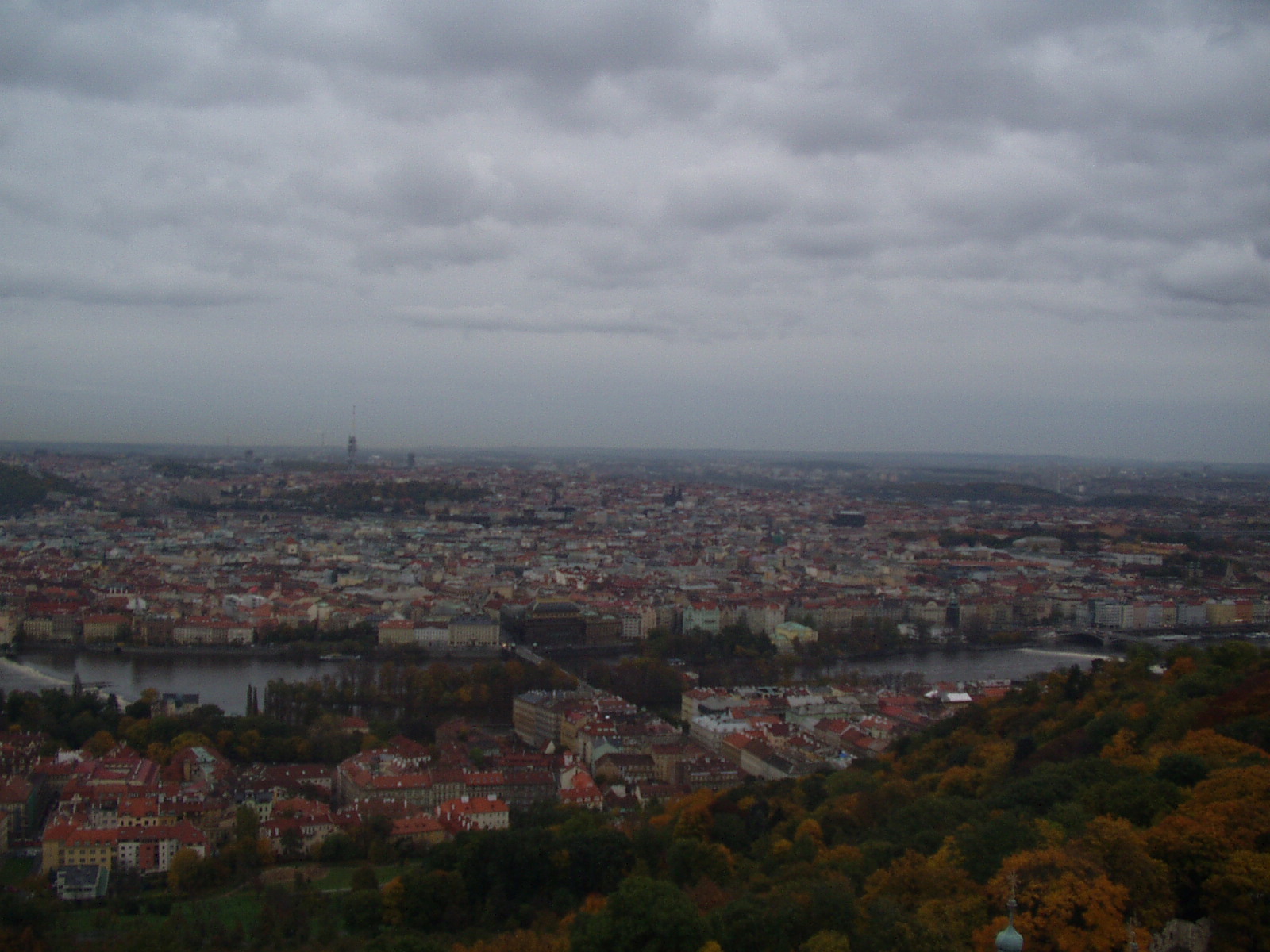 P1010006.JPG