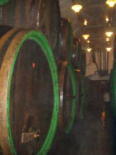 P1010104.jpg