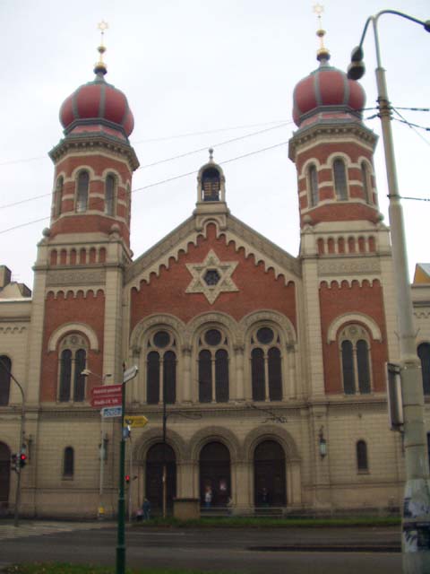 P1010093.jpg