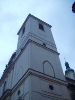 P1010007.jpg