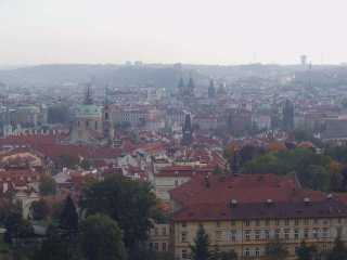 P1010029.jpg