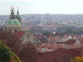 P1010040.jpg