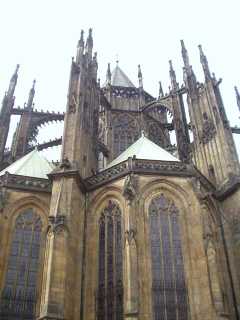 P1010054.jpg