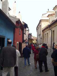 P1010056.jpg