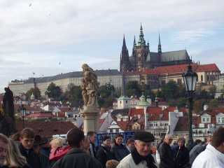 P1010074.jpg