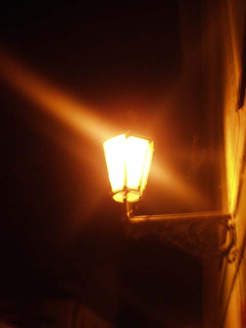 P1010012.jpg