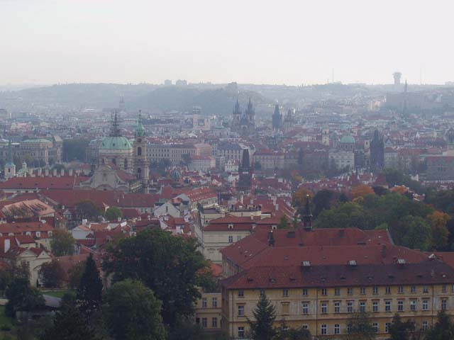P1010029.jpg