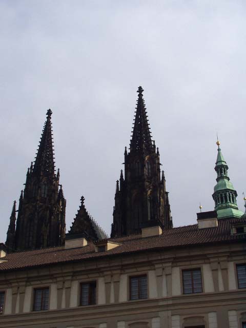 P1010044.jpg