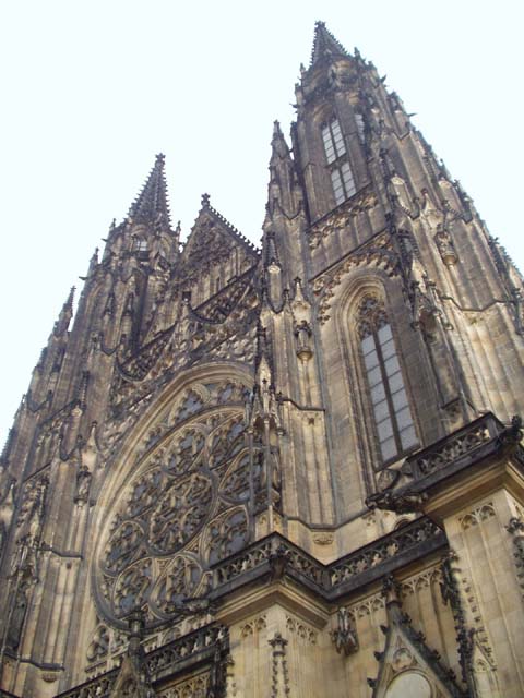 P1010050.jpg