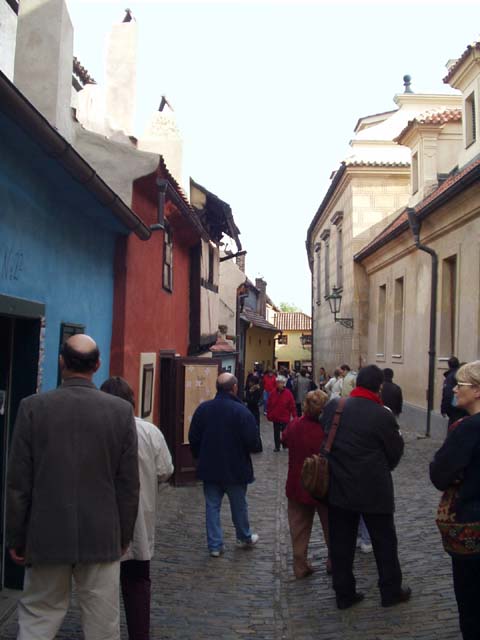 P1010056.jpg