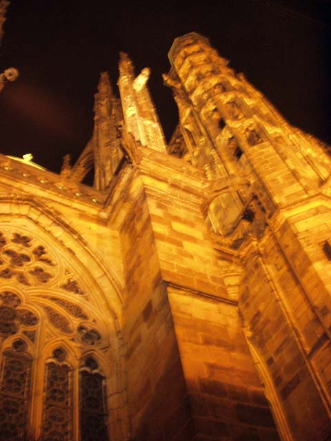 P1010083.jpg