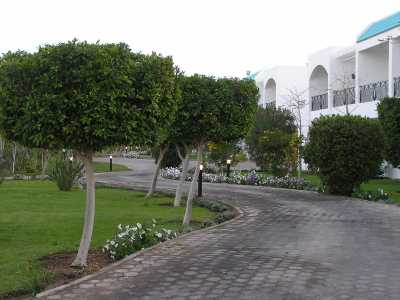 p3290090.jpg