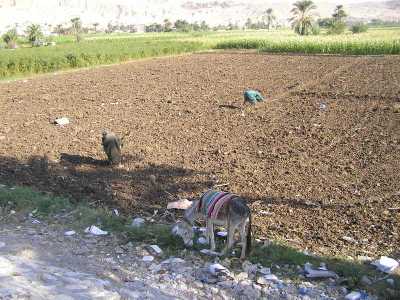 pb020006.jpg