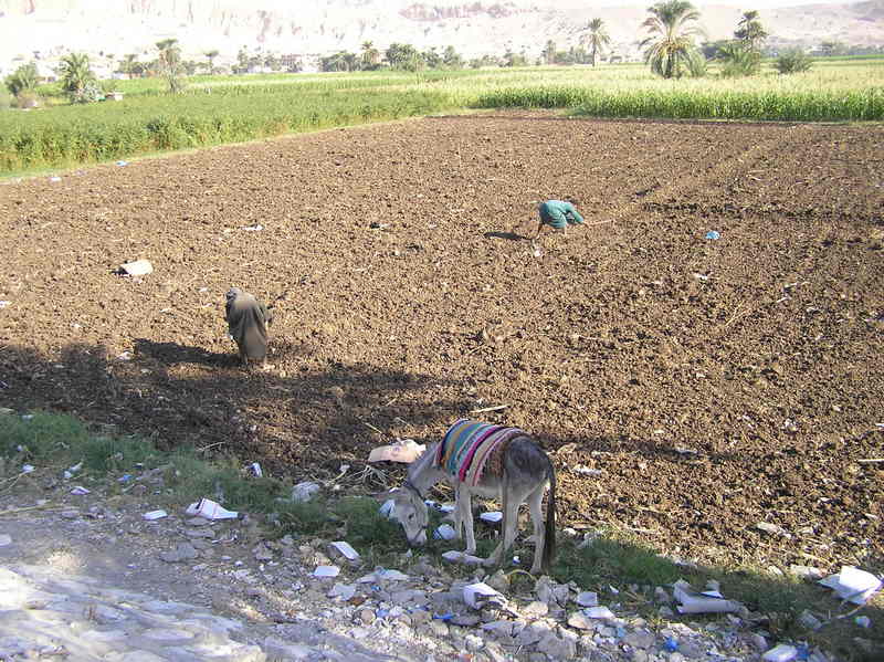 pb020006.jpg