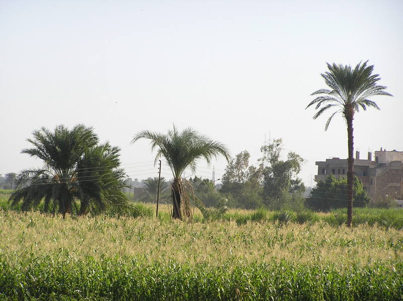 pb020014.jpg