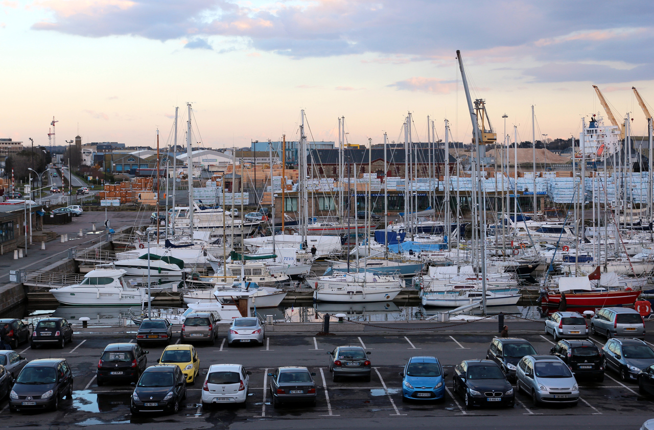 IMG_4084.jpg