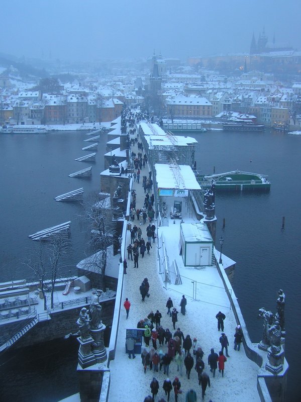 p1140039.jpg