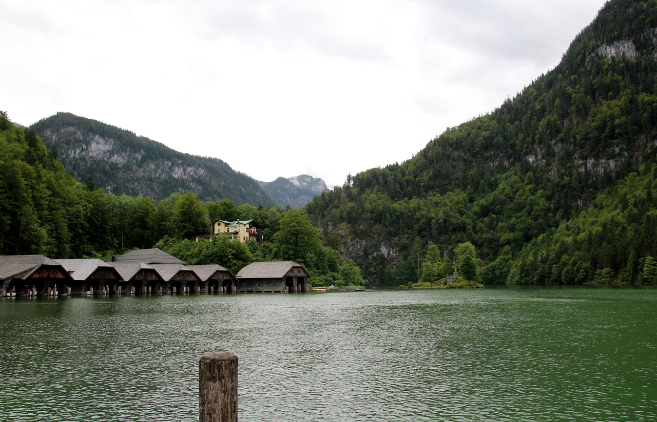 IMG_1811.JPG