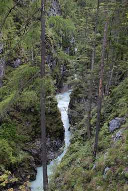 IMG_2024.JPG