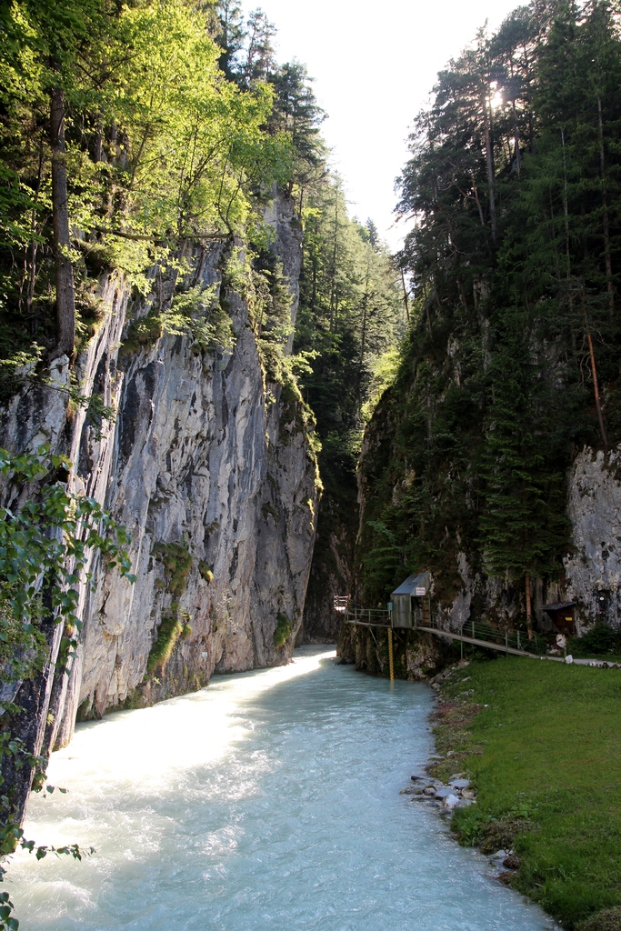 IMG_2000.JPG