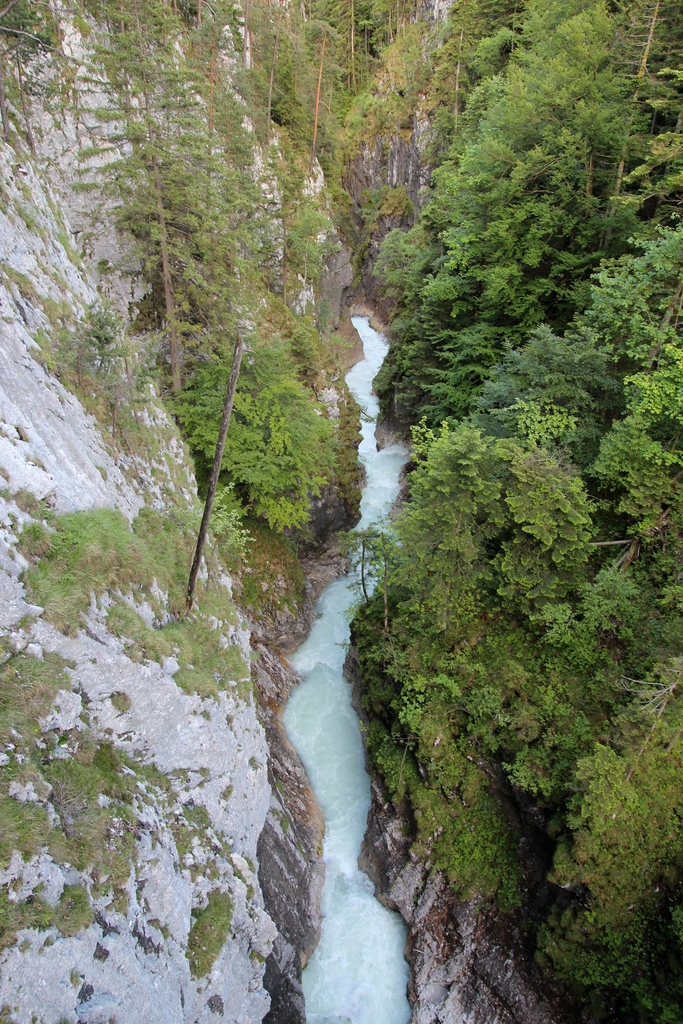 IMG_2014.JPG