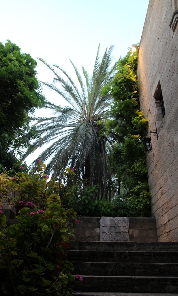 IMG_2125.JPG