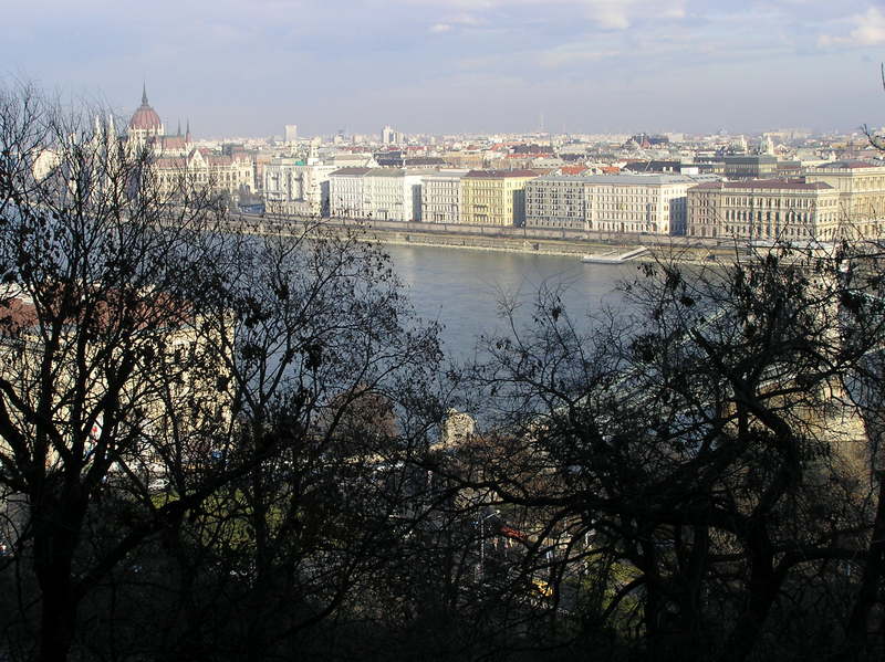 p1150104.jpg