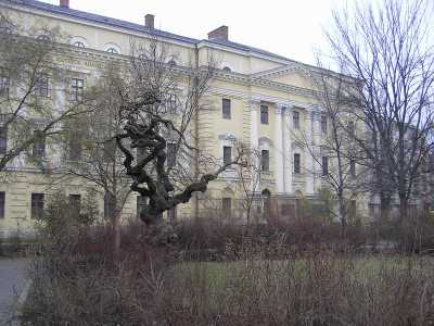 p1170159.jpg