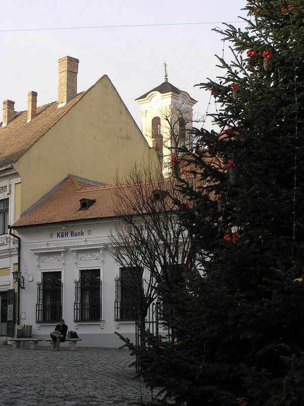 p1160144.jpg