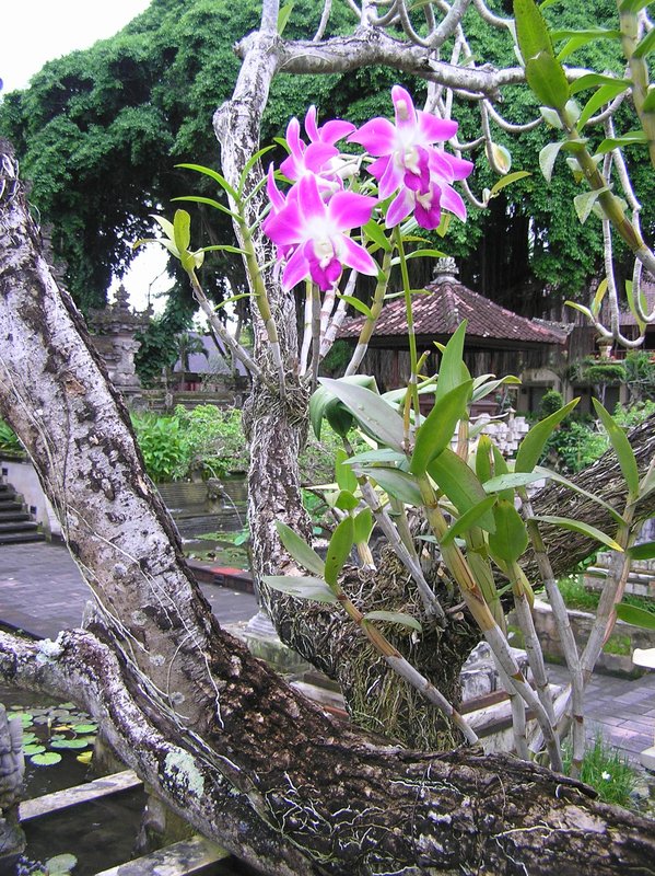 P4040271.JPG