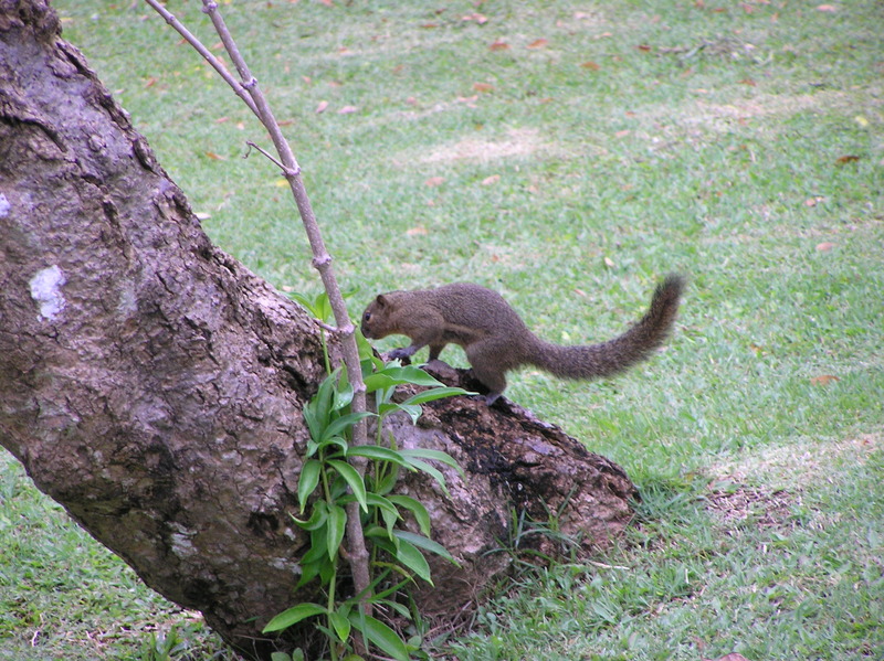 P4040275.JPG