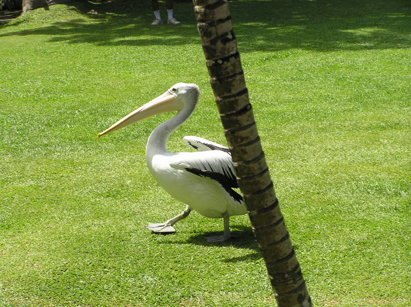 P4060322.JPG