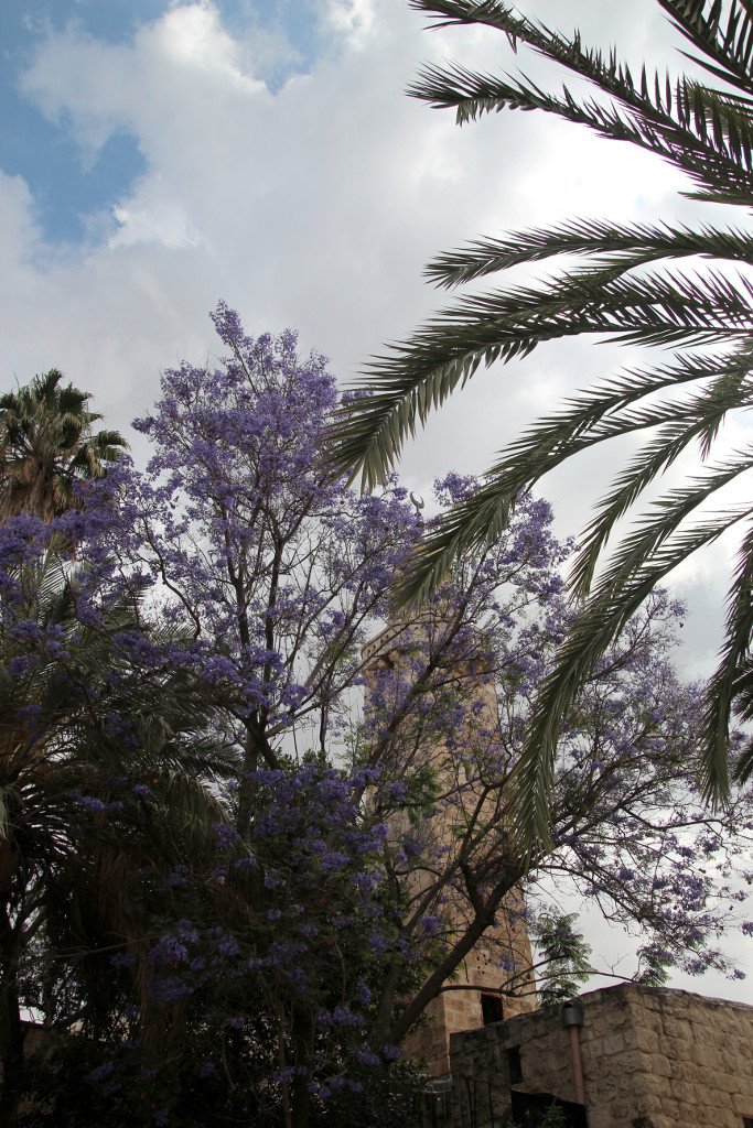 IMG_4280.JPG