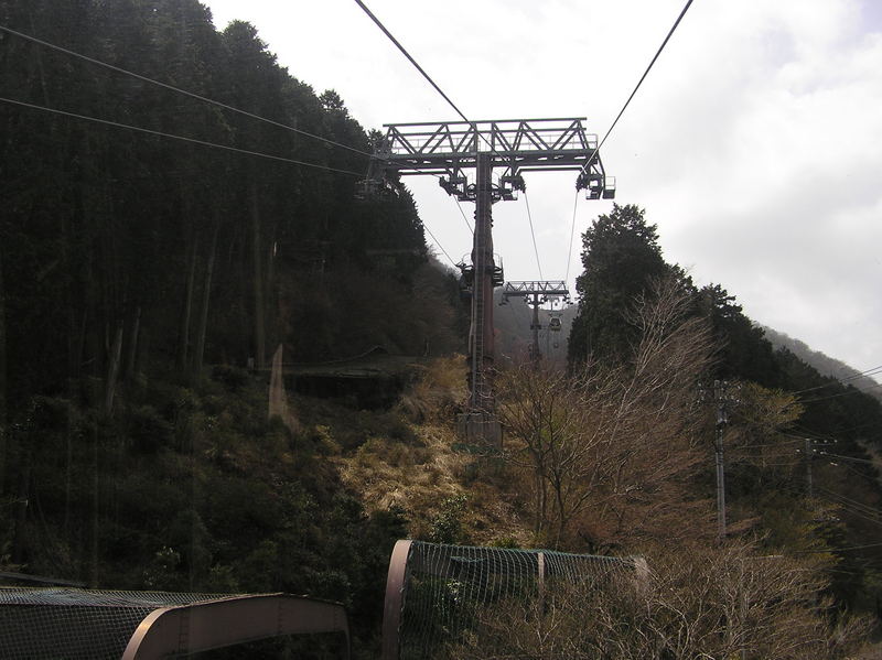 p4240262.jpg