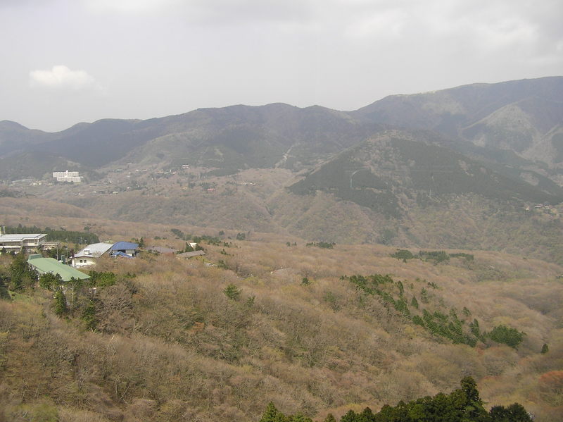 p4240266.jpg