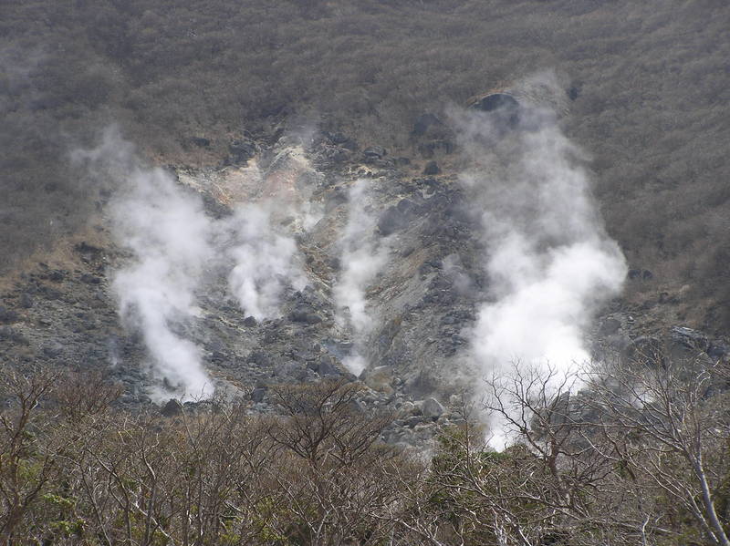 p4240275.jpg