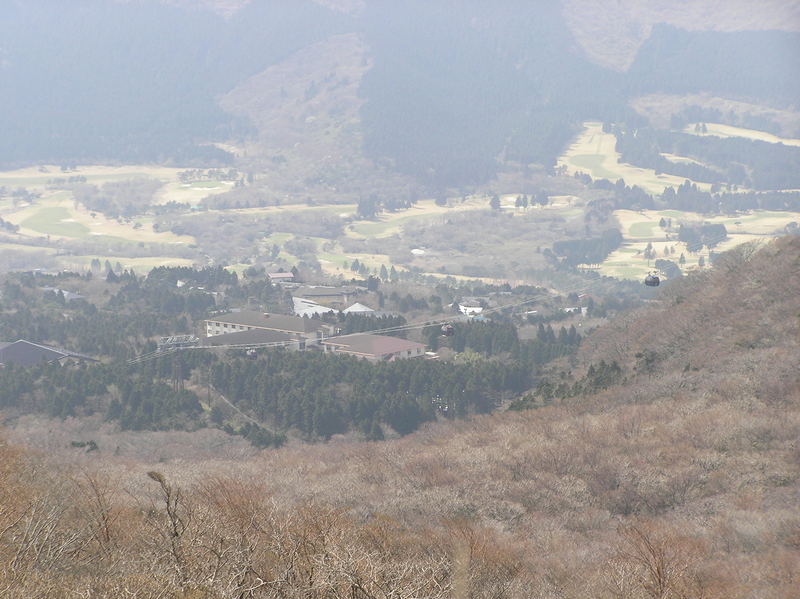 p4240289.jpg
