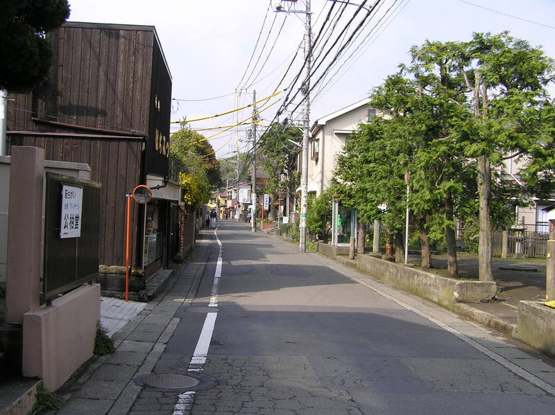 p4230191.jpg