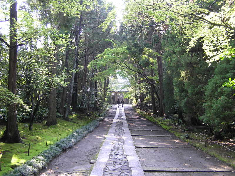 p4230195.jpg